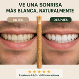 Kit Miswak Puro