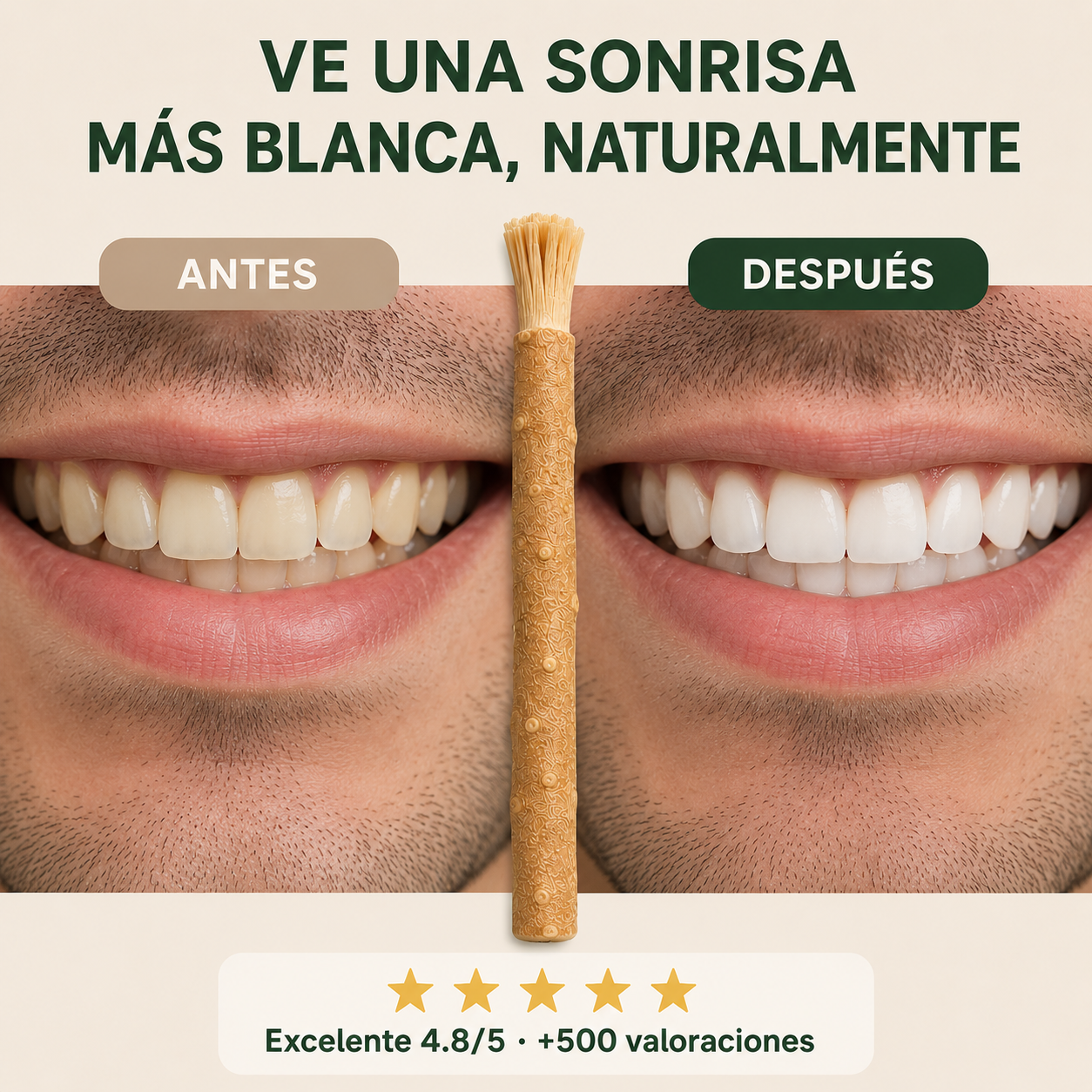 Kit Miswak Puro