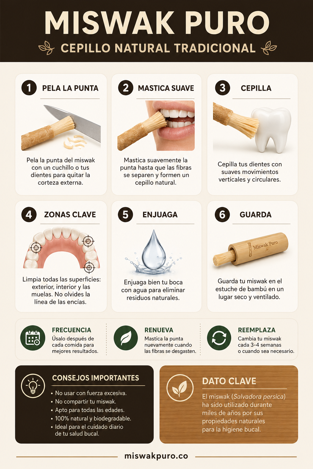 Kit Miswak Puro